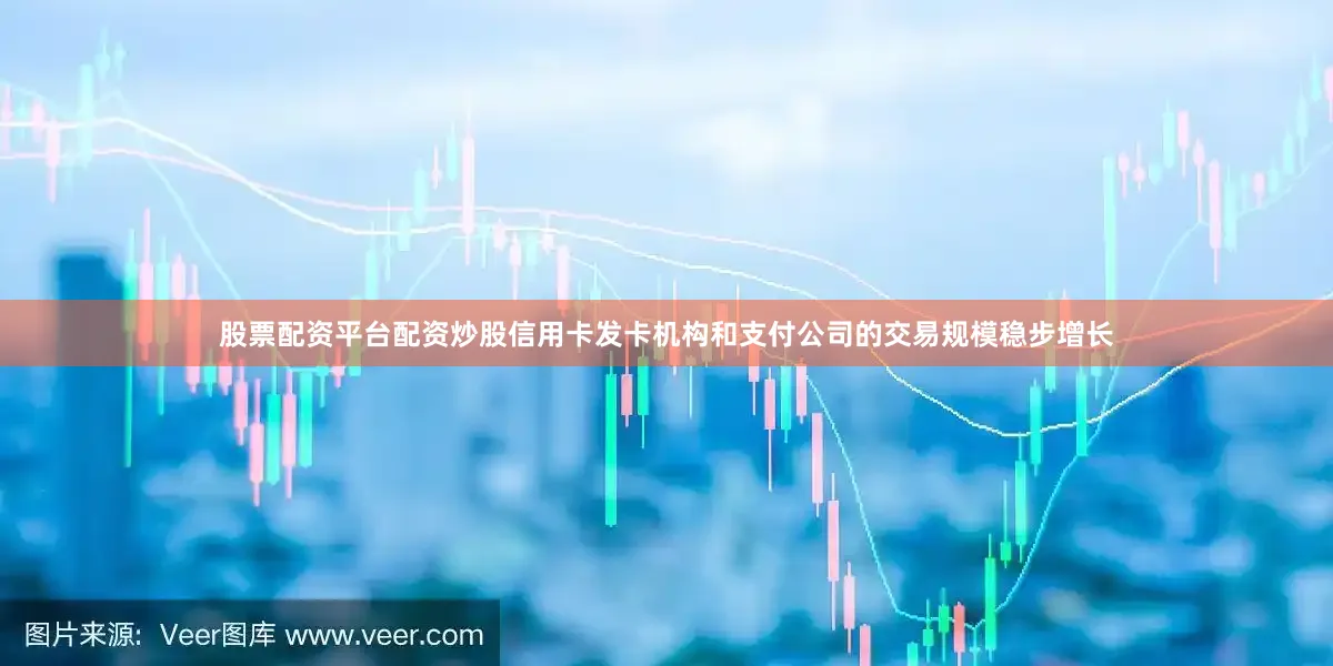 股票配资平台配资炒股信用卡发卡机构和支付公司的交易规模稳步增长